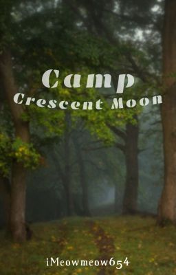 Camp Crescent Moon ⤖ applyfic (closed)