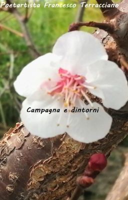 Campagna e dintorni