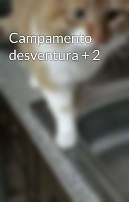 Campamento desventura + 2