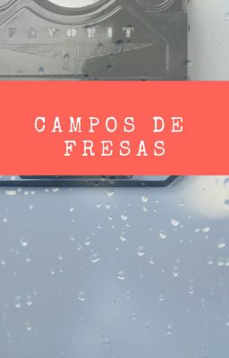 Campos de fresas