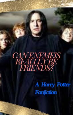 Can Enemies Really Be Friends? A Harry Potter Fanfiction