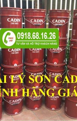 CẦN MUA SƠN CHỐNG RỈ CADIN MÀU XÁM GIÁ RẺ NHẤT CHO CÔNG TRÌNH