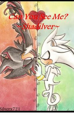 Can You See Me? ~Shadilver~