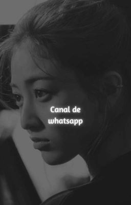 canal de whatsapp