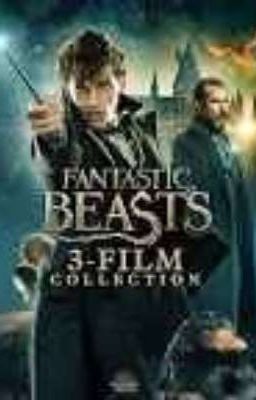 Cancellation of Fantastic Beasts (Rant!)