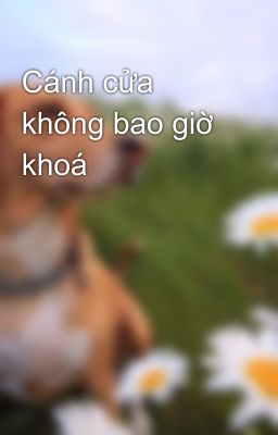 Cánh cửa không bao giờ khoá