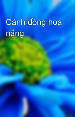 Cánh đồng hoa nắng