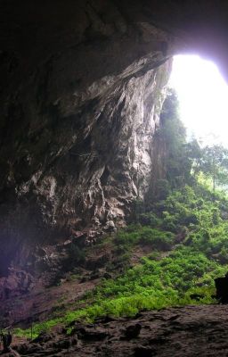 CẢNH XUÂN TRONG ĐỘNG