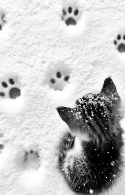 [canmaker] cuộc sống lý tưởng sau này của heo su