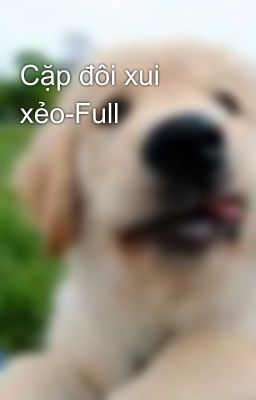 Cặp đôi xui xẻo-Full