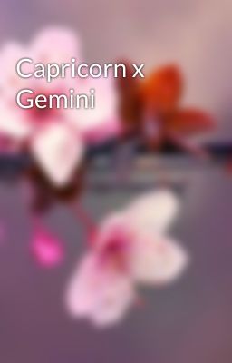 Capricorn x Gemini