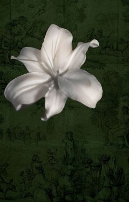 capscor |bl | evergreen