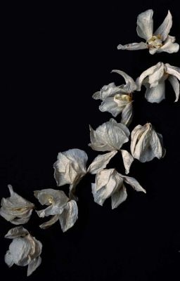 captau; per sempre insieme