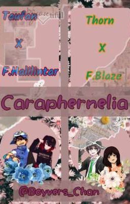 Caraphernelia;Tauhali x Thorlaze