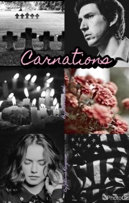 Carnations