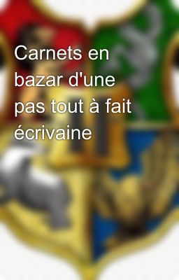 Carnets en bazar d'une pas tout à fait écrivaine