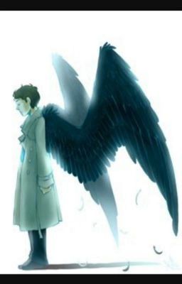 Cas's Wings