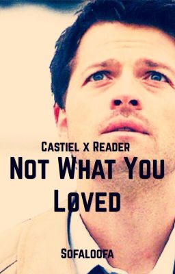 Castiel x Reader: Not What You Loved (DISCONTINUED)