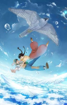 Castle in the Sky: the Sky Falcon