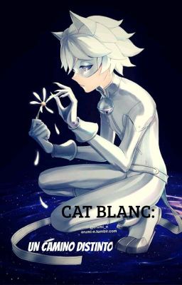 Cat Blanc: Un camino distinto