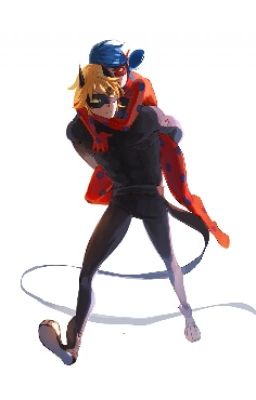 Cat Noir & Ladybug Un Amor Secreto