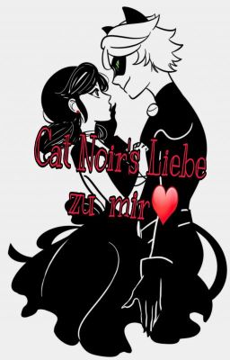 Cat Noir's liebe zu mir.( Pausiert)}Vortzezung Folgt{