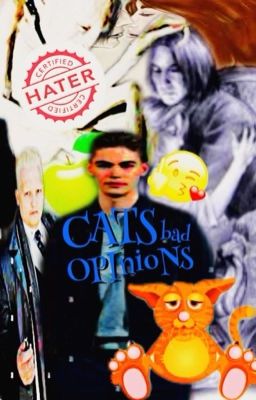 Cat's Controversial Takes: Harry Potter Edition