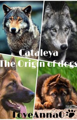 Cataleya- The origin of dogs