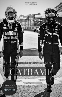 CATRAME  ||  Lewis Hamilton - Max Verstappen