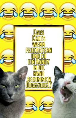 Cats Chats - Wenn Feuerstern & Co. ein Handy in die Hand bekommen...