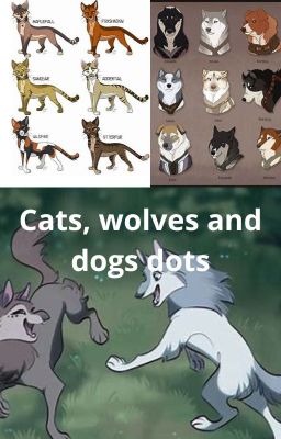 Cats, wolves and dogs dots