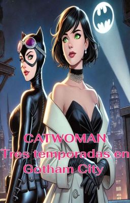 Catwoman: Tres temporadas en Gotham City