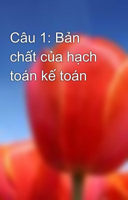 Câu 1: Bản chất của hạch toán kế toán