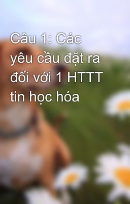 Câu 1: Các yêu cầu đặt ra đối với 1 HTTT tin học hóa