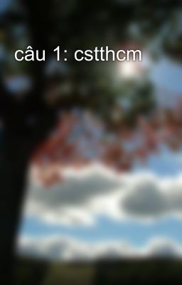 câu 1: cstthcm