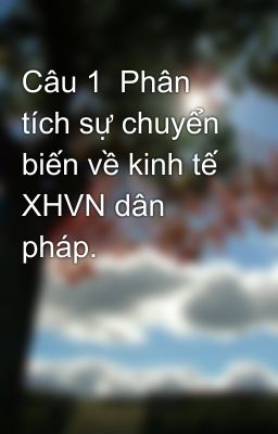 Câu 1  Phân tích sự chuyển biến về kinh tế XHVN dân pháp.