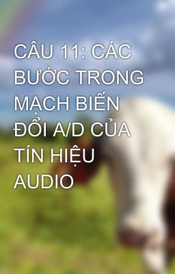 CÂU 11: CÁC BƯỚC TRONG MẠCH BIẾN ĐỔI A/D CỦA TÍN HIỆU AUDIO