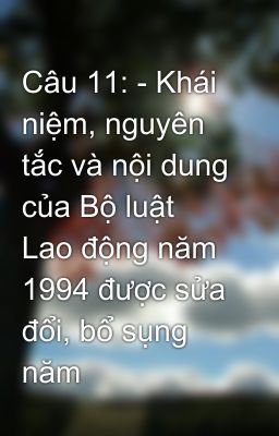 Câu 11: - Khái niệm, nguyên tắc và nội dung của Bộ luật Lao động năm 1994 được sửa đổi, bổ sụng năm