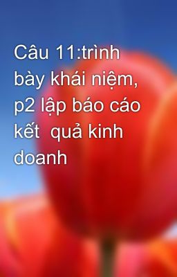 Câu 11:trình bày khái niệm, p2 lập báo cáo kết  quả kinh doanh