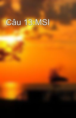 Câu 13:MSI