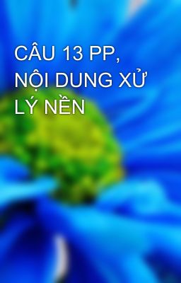 CÂU 13 PP, NỘI DUNG XỬ LÝ NỀN