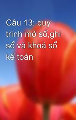 Câu 13: quy trình mở sổ,ghi sổ và khoá sổ kế toán