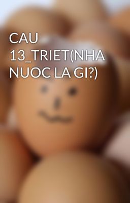 CAU 13_TRIET(NHA NUOC LA GI?)