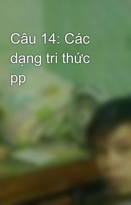 Câu 14: Các dạng tri thức pp