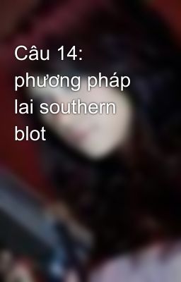 Câu 14:  phương pháp lai southern blot