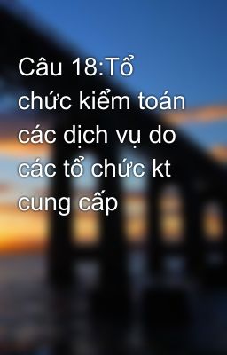 Câu 18:Tổ chức kiểm toán các dịch vụ do các tổ chức kt cung cấp