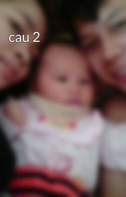 cau 2