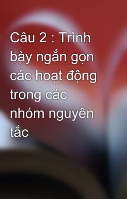 Câu 2 : Trình bày ngắn gọn các hoạt động trong các nhóm nguyên tắc