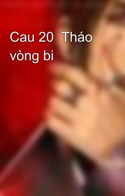 Cau 20  Tháo vòng bi