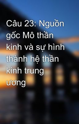 Câu 23: Nguồn gốc Mô thần kinh và sự hình thành hệ thần kinh trung ương